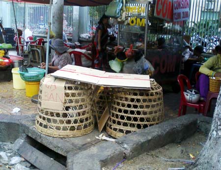 Quản lý hàng rong: Loay hoay với quy định mới ảnh 1