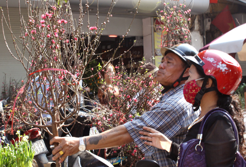 Thị trường hoa Tết Hà Nội: Đa dạng cả chủng loại lẫn giá cả ảnh 1