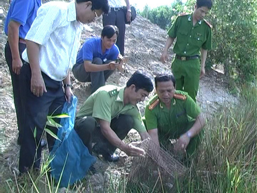 Thả trăn đất về Vườn Quốc gia Tràm Chim ảnh 1