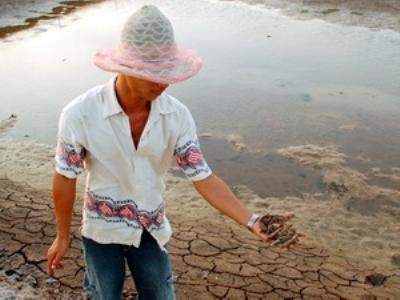 Trà Vinh: Tôm nuôi chết trên diện rộng