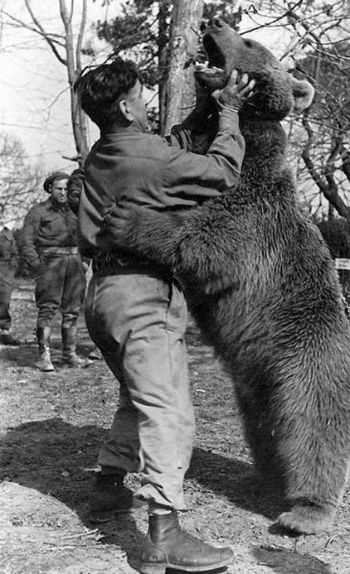 Tiêu điểm - Huyền thoại chiến binh gấu trong thế chiến II (Hình 2).