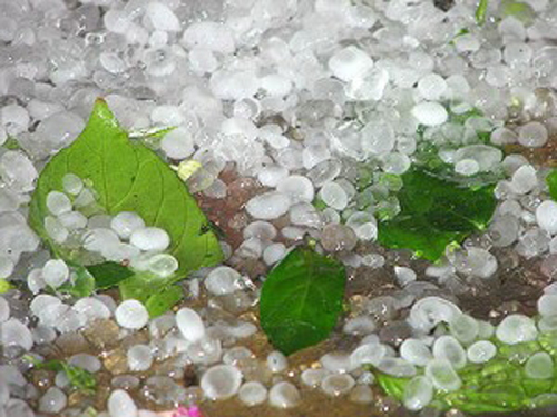 Mưa đá gây thiệt hại ở Hà Giang ảnh 1