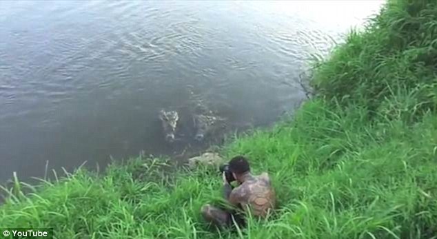 Suýt mất mạng vì chụp ảnh cá sấu ảnh 1