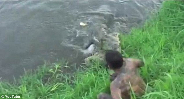 Suýt mất mạng vì chụp ảnh cá sấu ảnh 2