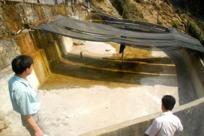Gần chục tấn cá hồi tại Sa Pa chết do thiếu nước ảnh 1