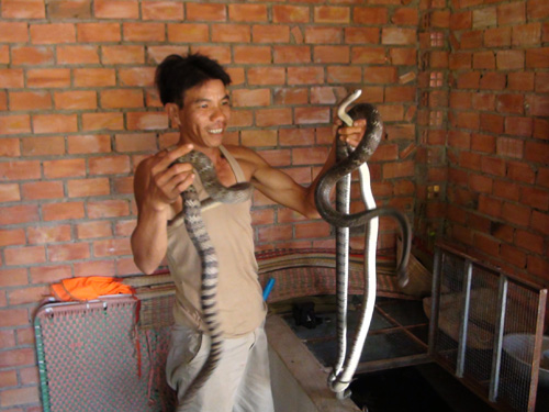 Sức trẻ ở Làng thanh niên lập nghiệp ảnh 1
