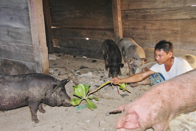Thăm đảo xanh Sơn Ca ảnh 6