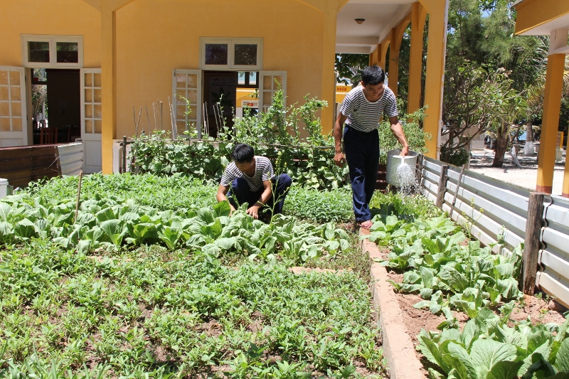 Thăm đảo xanh Sơn Ca ảnh 7