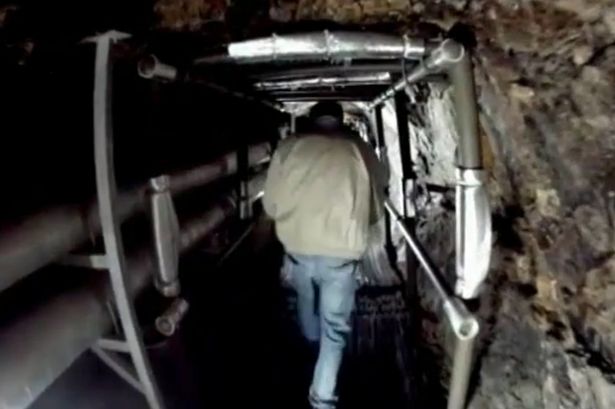 Du khách vẫn đổ tới khu phi quân sự Triều Tiên ảnh 2
