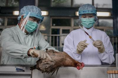 Thêm một trường hợp tử vong do virus H7N9 ảnh 1