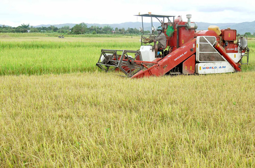 Đổi thay “Hốc” Pờ Tó ảnh 1