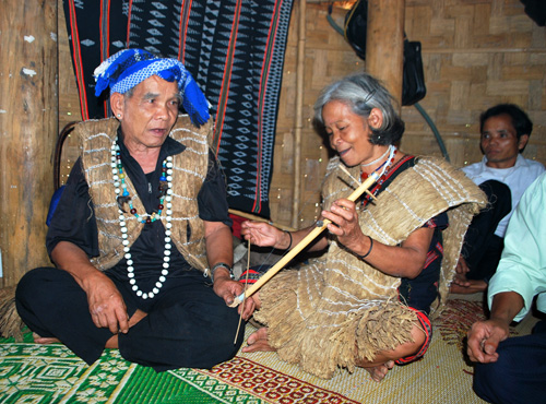 Cây đàn tình trên dãy Trường Sơn ảnh 2