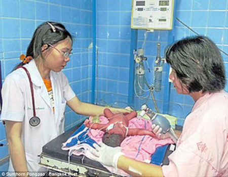 Chú chó cứu mạng bé sơ sinh bị vứt trong túi rác ảnh 3