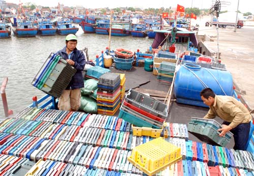 Nhộn nhịp cảng cá Lạch Bạng ảnh 4