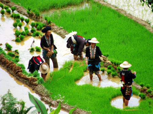 "Bước đệm" để chuyển đổi sản xuất ảnh 1