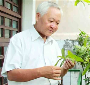 Khúc ca nở hoa giữa biển xa ảnh 1
