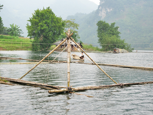Triển vọng nghề nuôi cá lồng ảnh 1