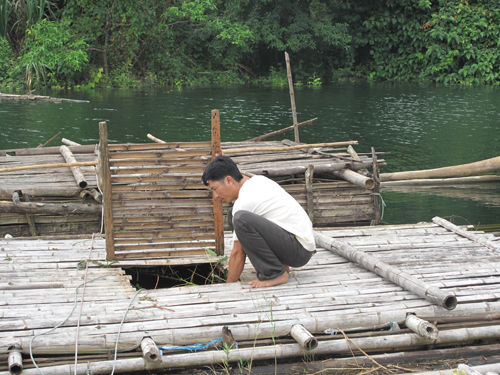 Triển vọng nghề nuôi cá lồng ảnh 2