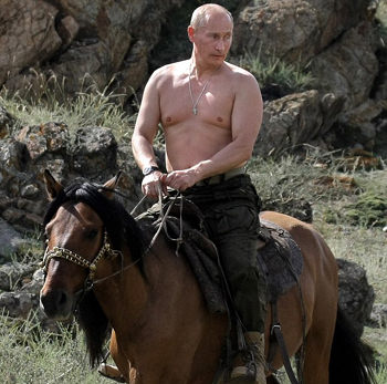 Putin lặn biển xem tàu chiến đắm ảnh 3