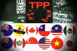 Đàm phán TPP bế tắc về thuế quan ảnh 1