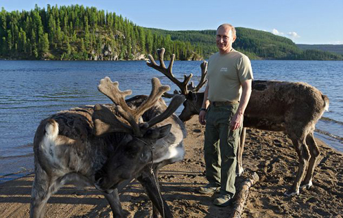 Putin trổ tài câu cá chó 21kg ảnh 14