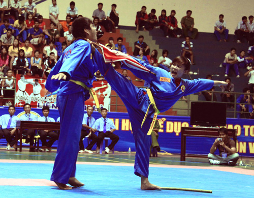Sức lan tỏa của Vovinam ảnh 1