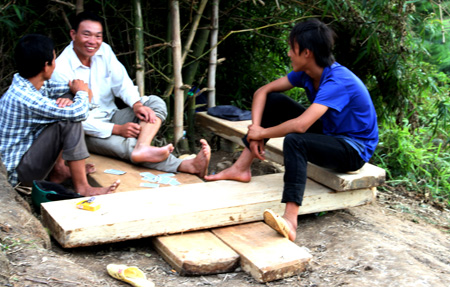 Vấn nạn khai thác gỗ lậu ở rừng Hoàng Liên ảnh 1