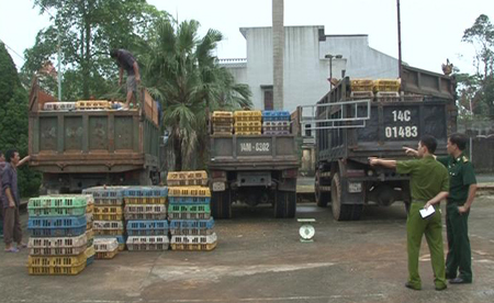 Quảng Ninh bắt 6,8 tấn gà lậu Trung Quốc ảnh 1