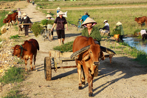 Về vụ kích động, gây rối ở xã Nghi Phương, Nghệ An - Bài cuối: Nghệ An - Những miền quê 'tốt đời đẹp đạo'