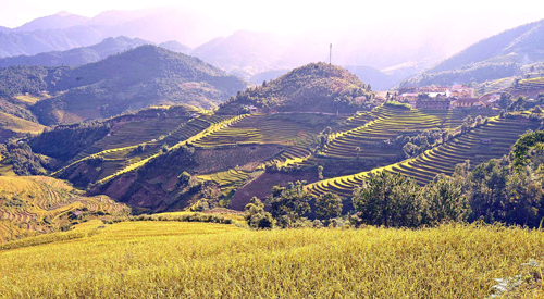 Thơ mộng Mù Cang Chải mùa lúa chín ảnh 3