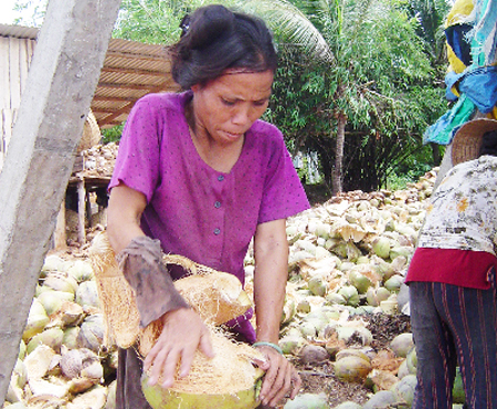Nhọc nhằn những phụ nữ lột dừa bên sông Thom ảnh 1