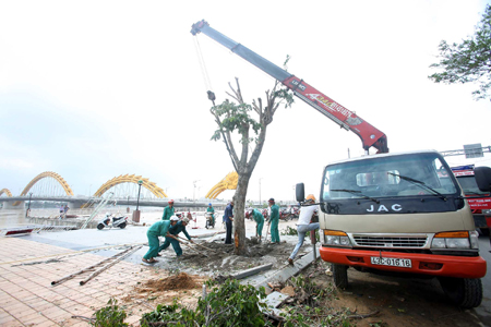 Đà Nẵng nỗ lực khắc phục hậu quả bão ảnh 1