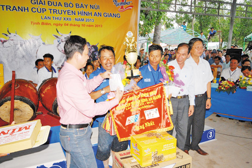 Đua bò Bảy Núi ảnh 5