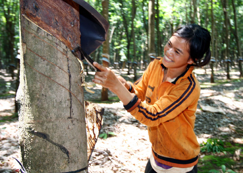 Doanh nghiệp không làm đúng cam kết với dân ảnh 2