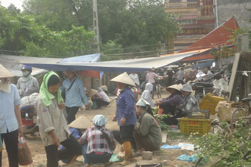 Thành cổ Luy Lâu đang thành phế tích ảnh 4