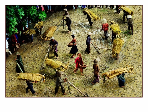 Vẻ đẹp Việt Nam qua triển lãm ảnh di sản tại Thủ đô ảnh 4