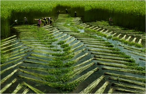 Vẻ đẹp Việt Nam qua triển lãm ảnh di sản tại Thủ đô ảnh 5