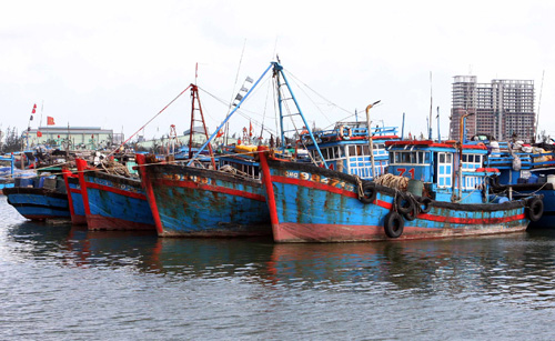 Huy động cả hệ thống chính trị phòng, chống siêu bão Haiyan ảnh 1