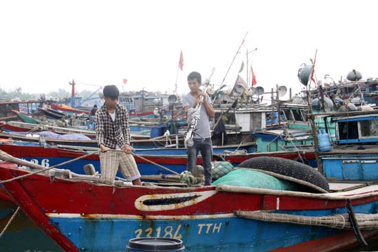 Hầm hập không khí phòng chống siêu bão ảnh 9