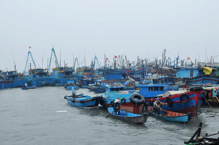Phú Yên cấm tàu thuyền hoạt động từ hôm nay ảnh 1
