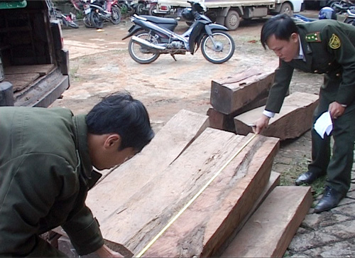 Liên tiếp bắt nhiều vụ vận chuyển gỗ trái phép ảnh 1