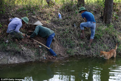 'Công nghiệp thịt chuột' Việt Nam qua ống kính AFP ảnh 2