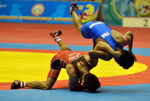 Việt Nam vượt lên nhờ wushu và vật ảnh 1