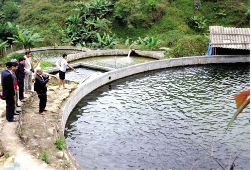 Đánh thức tiềm năng Tả Phời