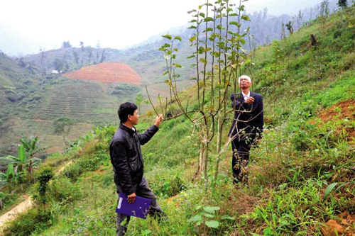 Đánh thức tiềm năng Tả Phời