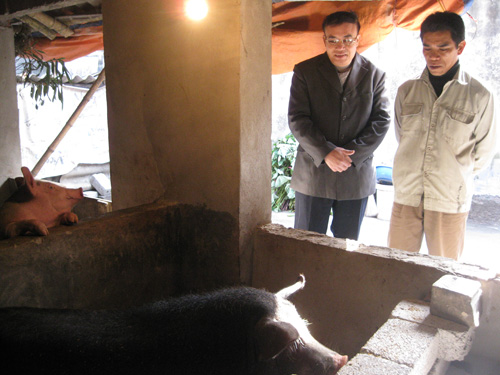 Người cứu nguy cho nông dân chăn nuôi lợn ảnh 1