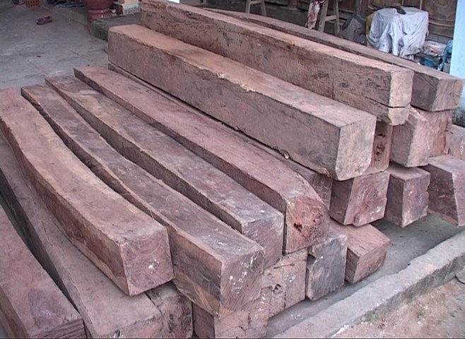 Xét xử cán bộ kiểm lâm 'bắt tay' với lâm tặc ảnh 1