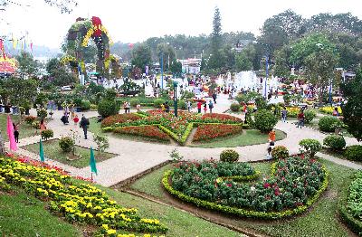 Rực rỡ phố hoa Đà Lạt ảnh 2