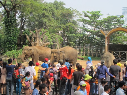 TP Hồ Chí Minh: Tấp nập các khu vui chơi, giải trí