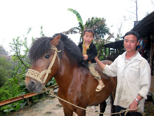 Kể chuyện đua ngựa Bắc Hà ảnh 3